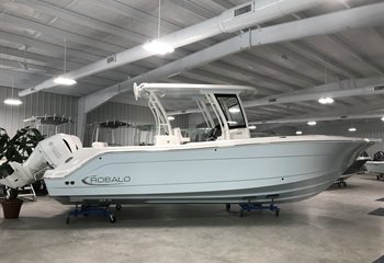 2025 Robalo R302 Ice Blue Boat